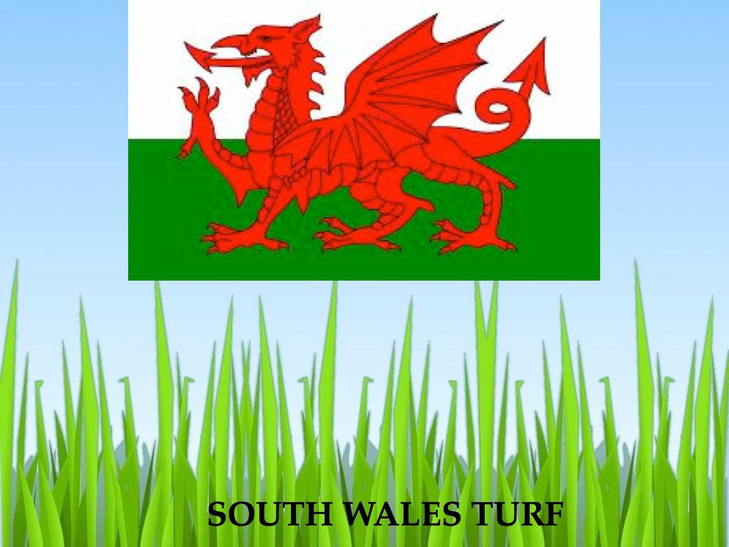 Images South Wales Turf