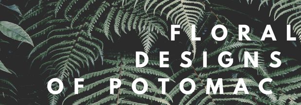 Images Floral Designs of Potomac