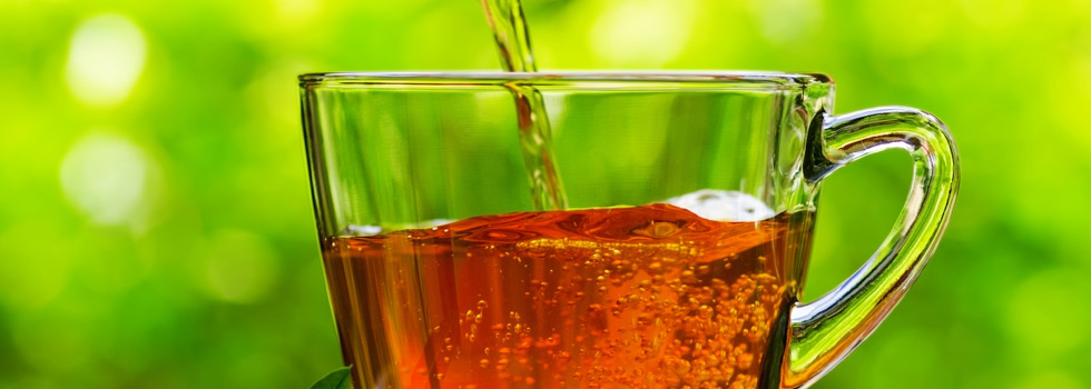 Grill KG, Anton-Proksch-Straße 1 in Weppersdorf