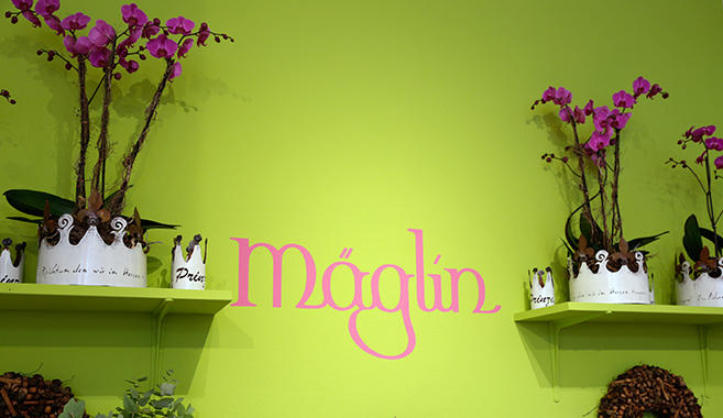 Blumenhaus Mäglin, Clarastrasse 50 in Basel