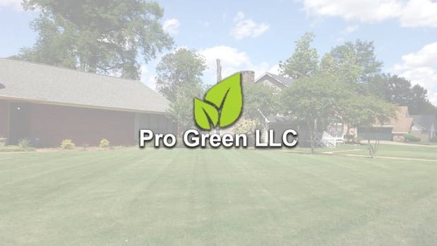 Images Pro Green