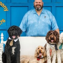 Images Canine Harmony