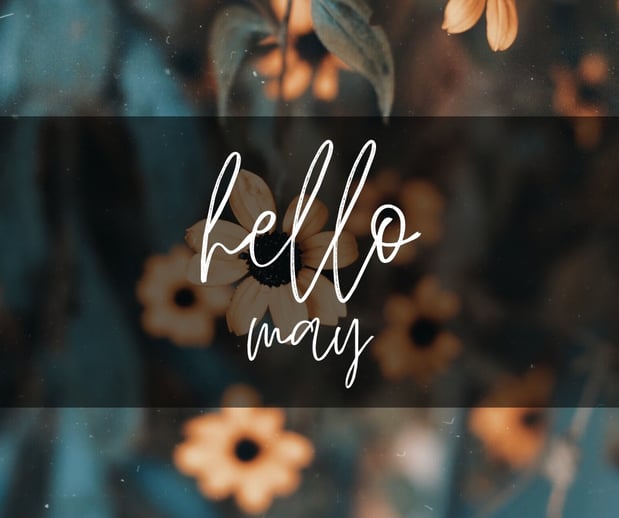 Images Better Life Counseling and Coaching