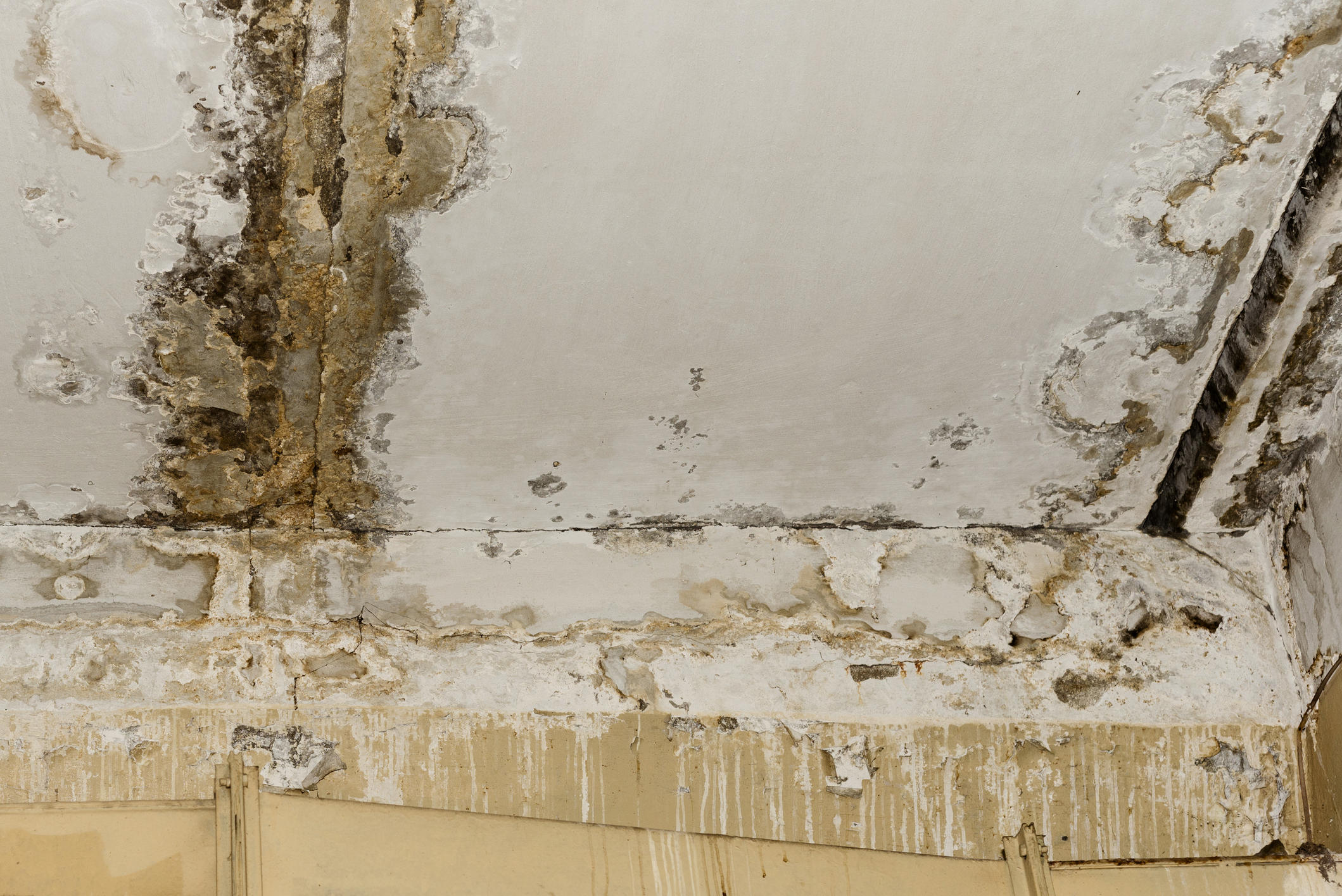 Do you require mold remediation services? Top Tier Restoration & Remodeling offers complete inspection and assessment, and we then can begin the process of removal of any mold growth resulting from your water damage. This may involve containment, proper disposal of contaminated materials, and thorough cleaning and disinfection of affected areas to prevent mold recurrence.