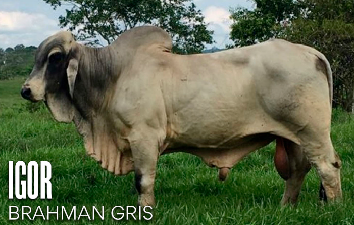 Images Rancho La Marina