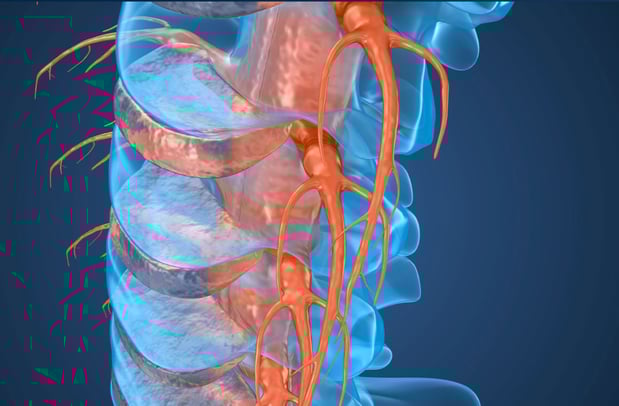 Images Texas Neuro Spine Office