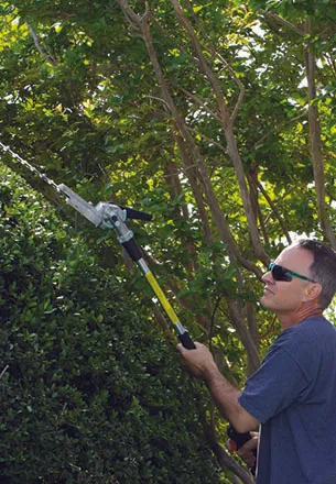 Images Huffstetler Tree & Lawn Services Inc.