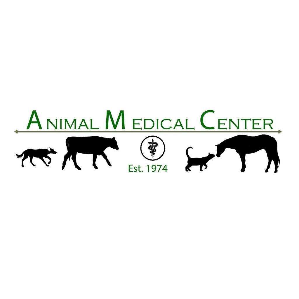 Animal Medical Center