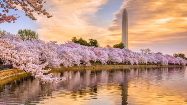 Images InterContinental the Willard Washington D.C. by IHG