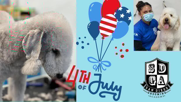 Images San Diego Grooming Academy