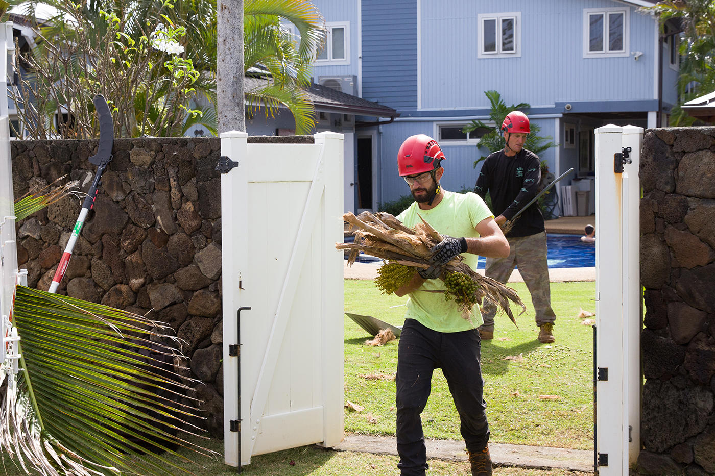 Amidst the tranquility of Oahu, Hawaii, a tree service worker uses a pole saw to trim branches, maintaining the tree's health and appearance.