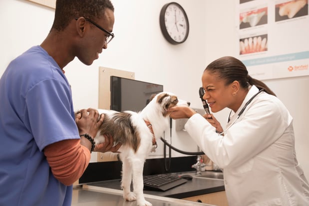 Images Banfield Pet Hospital