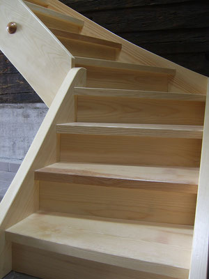 HOLZBAU PHILIPP UND WOLFGANG STALDER AG, Rigistrasse 96 in Weggis