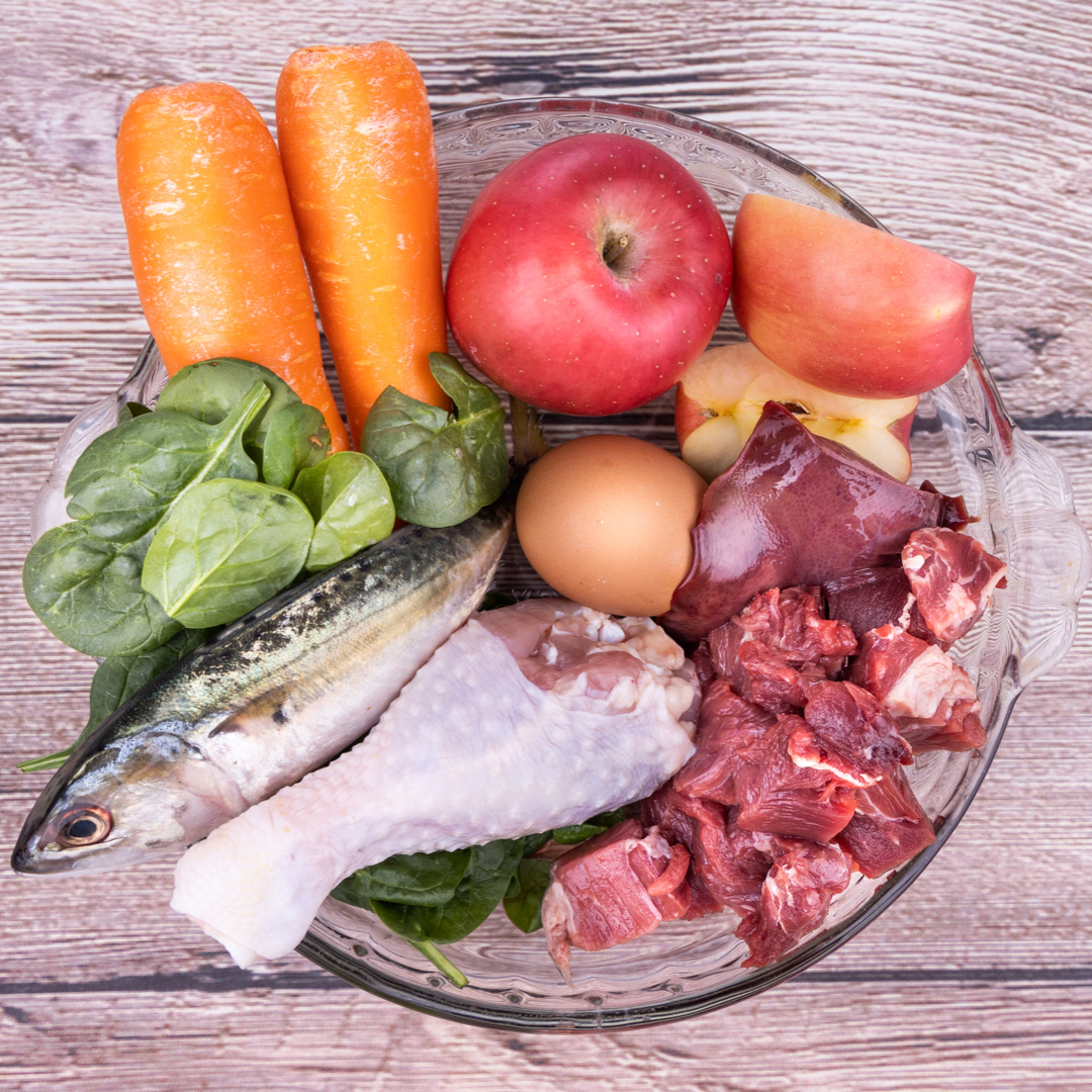 Bilder Jimmy & Friends eGbR