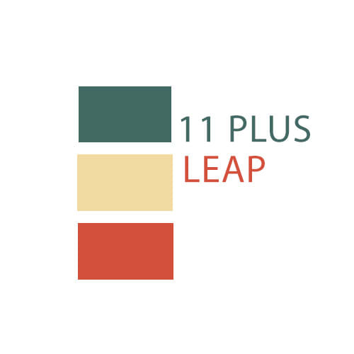 11 Plus Leap Logo