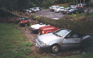 Images Cascadilla Tree Care Of Ithaca, LLC