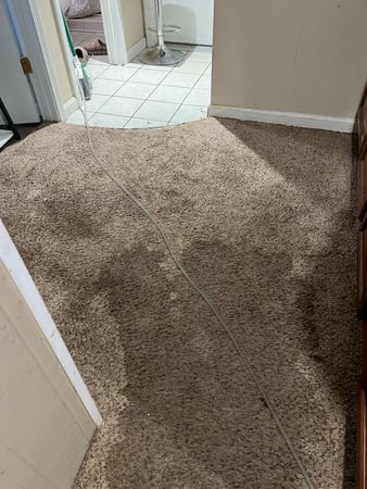 Images Best Option Restoration of BWC