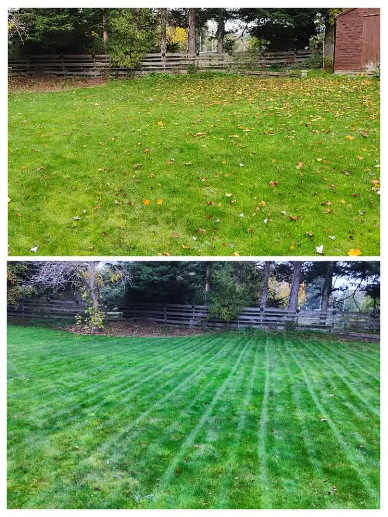 Images Clarke's Garden Care