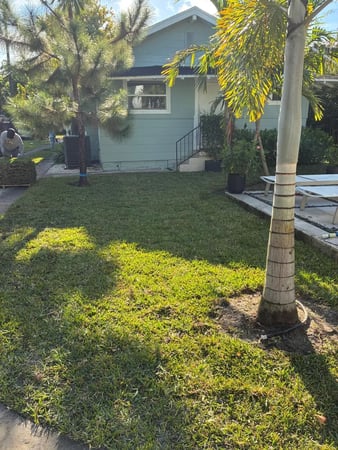 Images Gulf Bay Sod