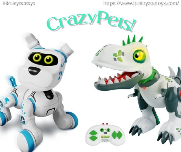 Images BrainyZoo Toys