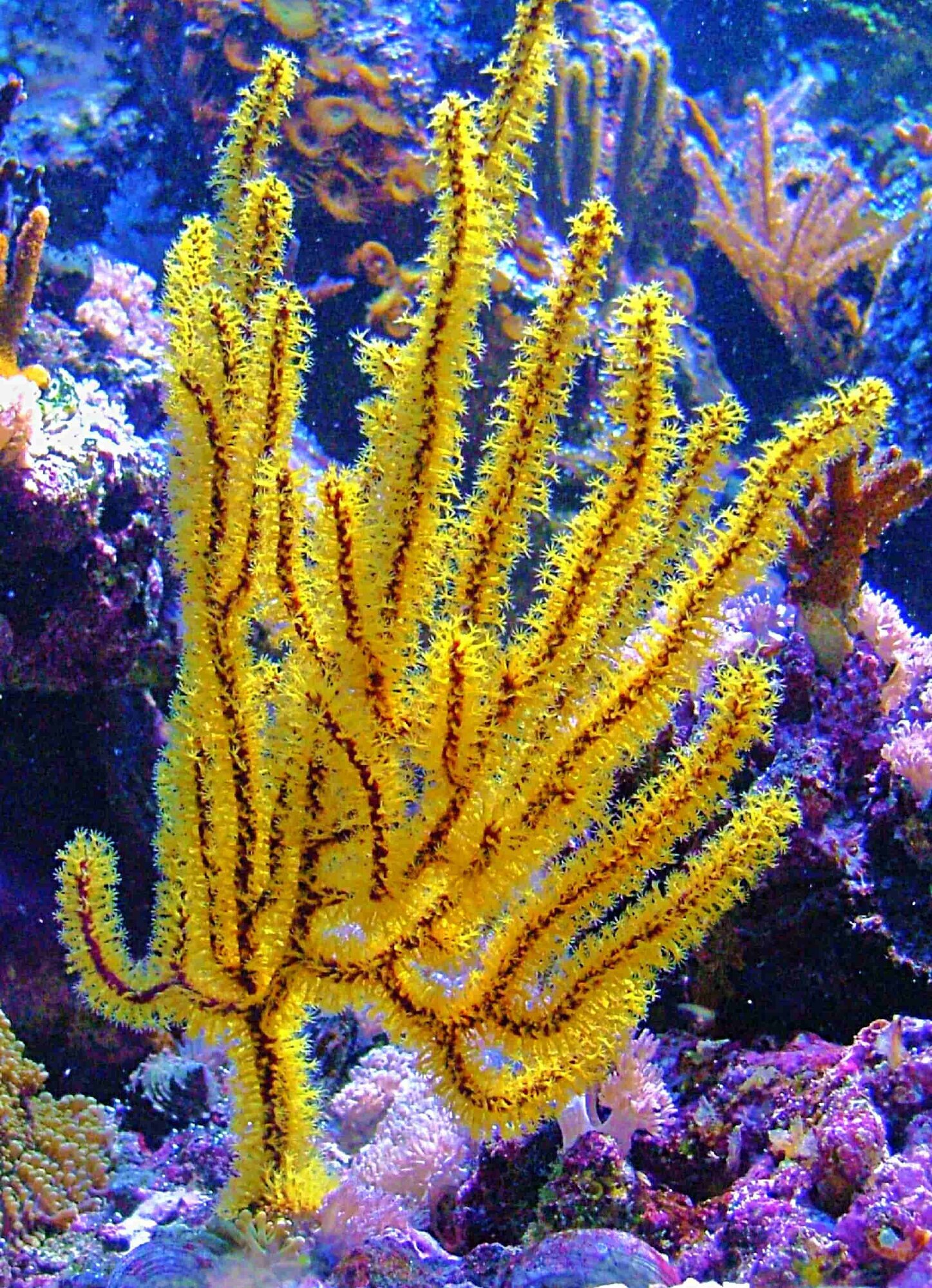 S&L Naturverlag, Bergrat-Mahr-Straße 17 in Ilmenau