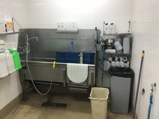 Images Petco Grooming