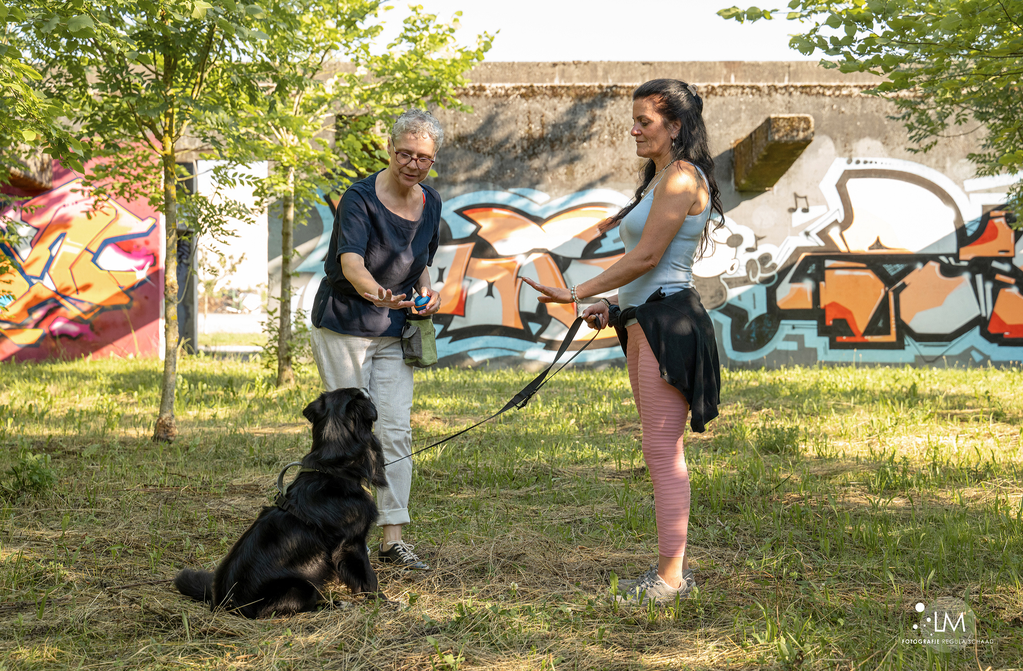 Bilder Lina, Hundert Prozent wau, Gesundheit, Training und Unterstützung für Hunde und ihre Menschen, Sandra Egli