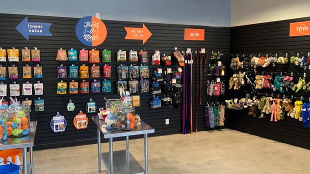 Images Zoom Room Dog Training - Littleton
