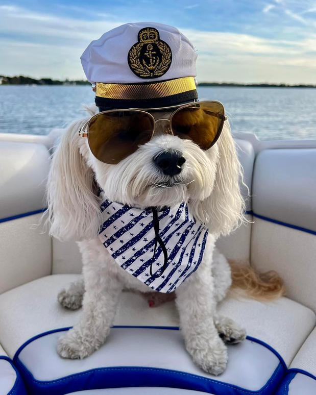 Images Craig Martin - State Farm Insurance Agent