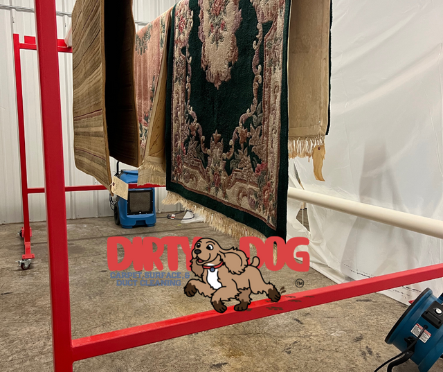 Images Dirty Dog Carpet, Surface and Duct Cleaning