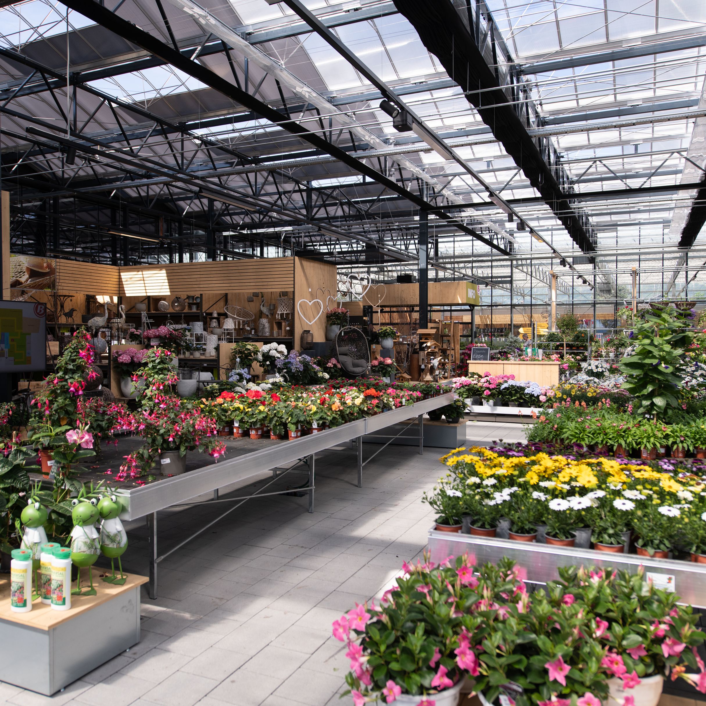 Bilder Bucher AG Gartencenter