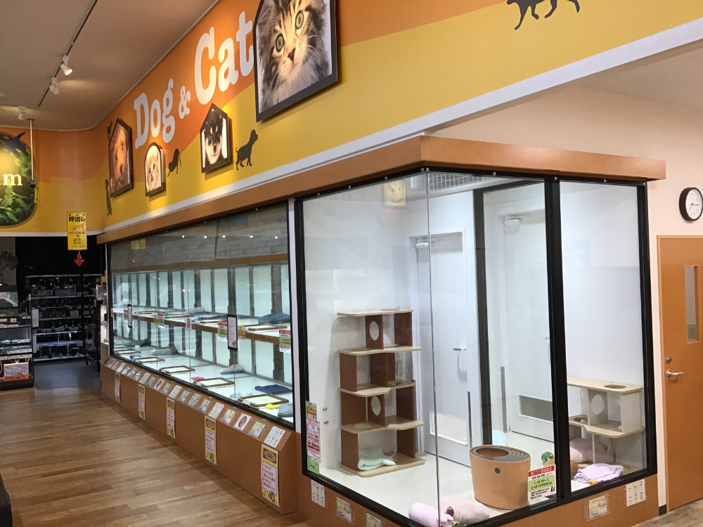 Images ペットエキスポ瀬戸店