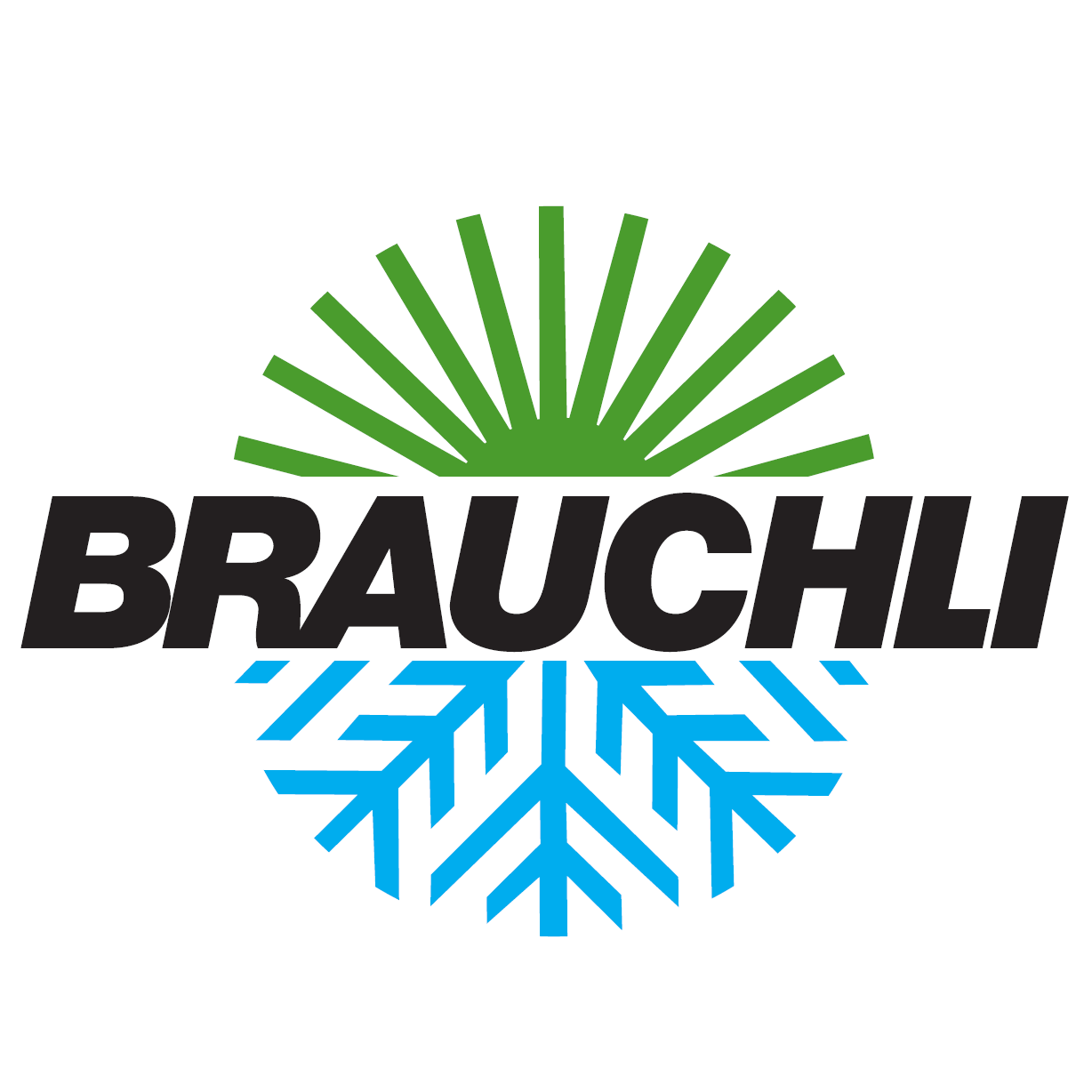 Brauchli - Rasenmäher Inhaber Cedric Bachmann Logo
