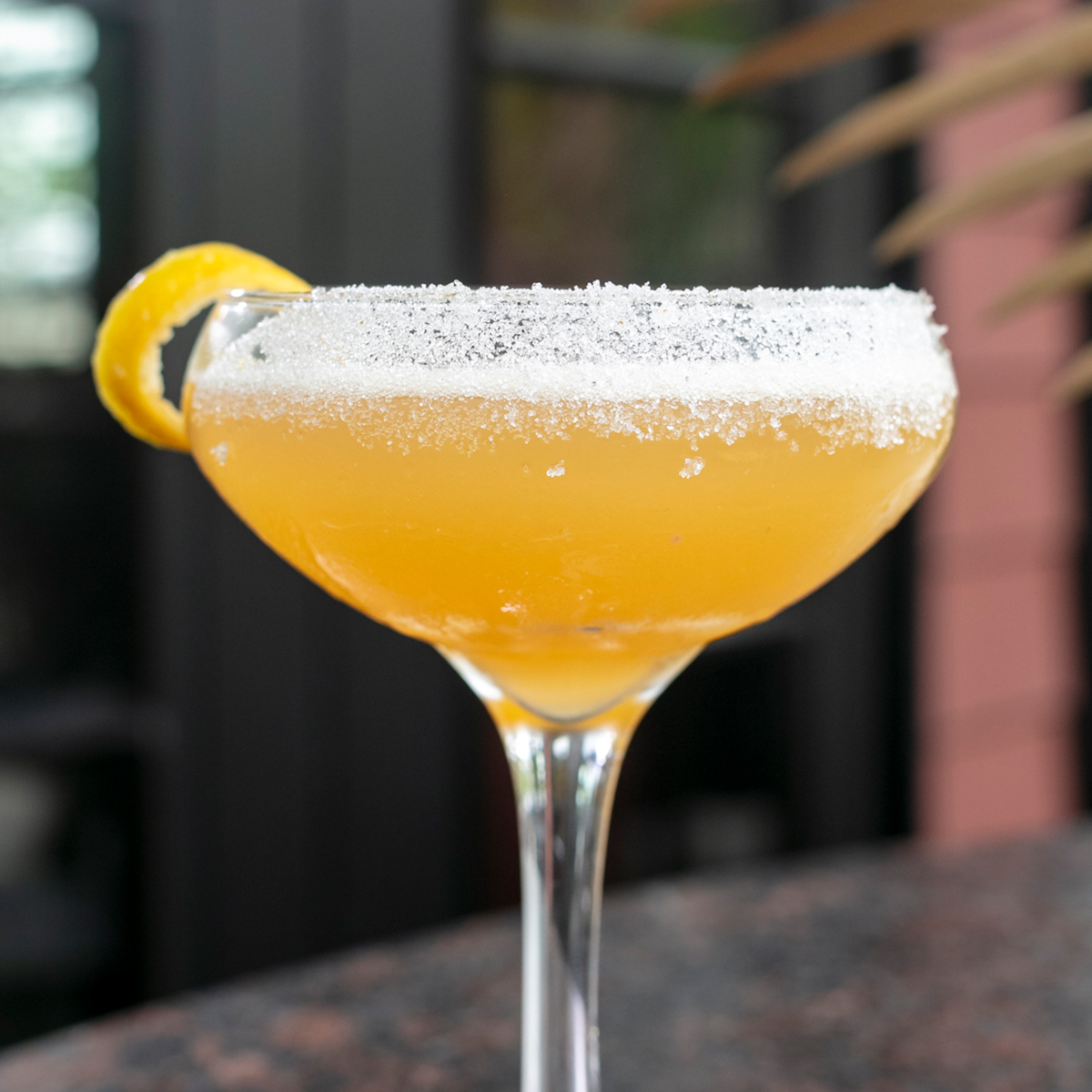 Boutique Sidecar | remy martini VSOP cognac, rothman & winter apricot liqueur, lemon, orange