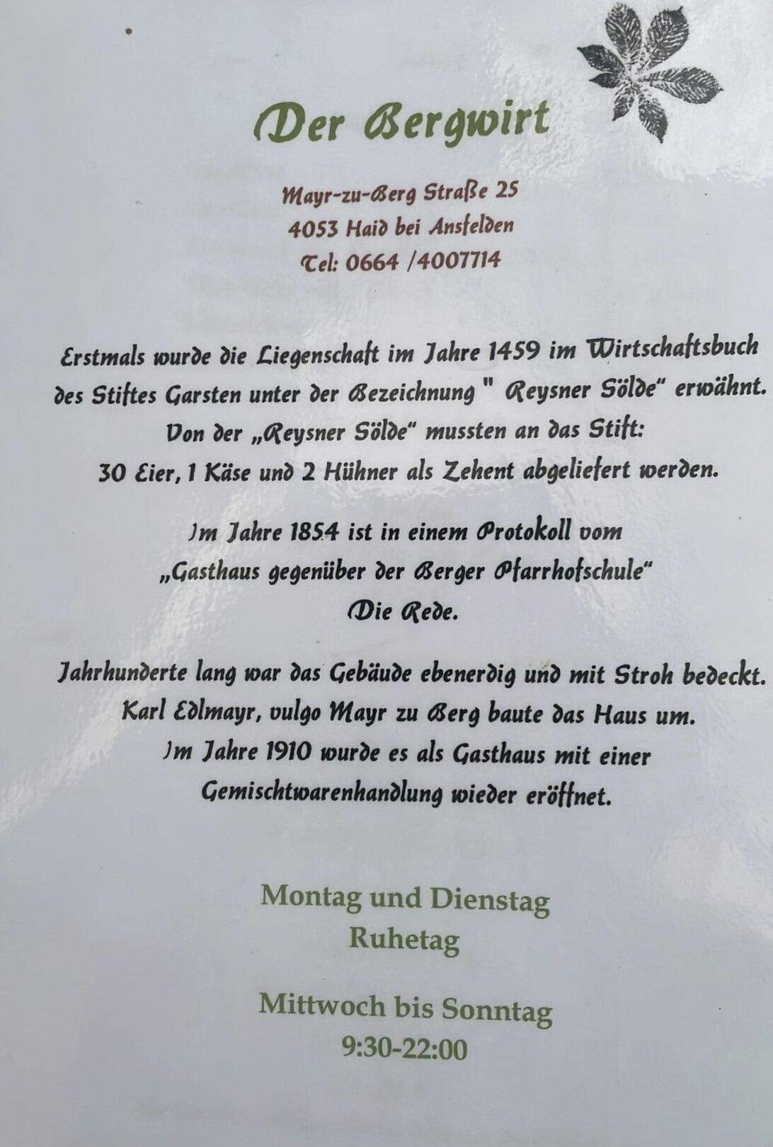 Der Bergwirt Restaurant, Mayr-zu-Berg-Straße 25 in Ansfelden