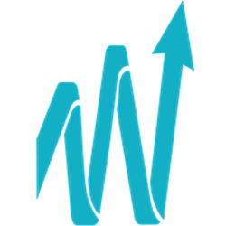 Wise Accounting & Financial Services Pty Ltd Logo