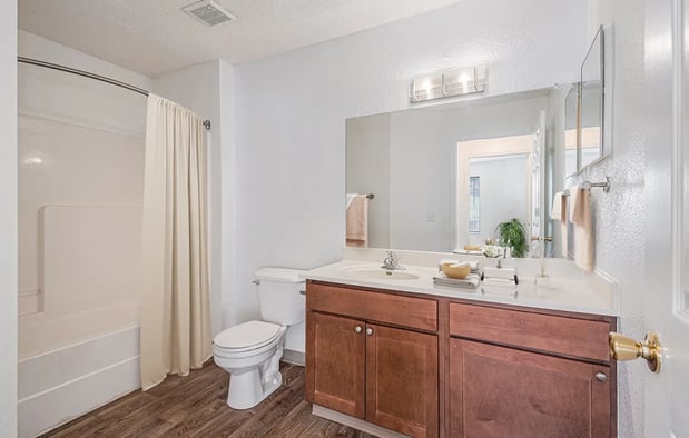Images Pine Tree Apartments