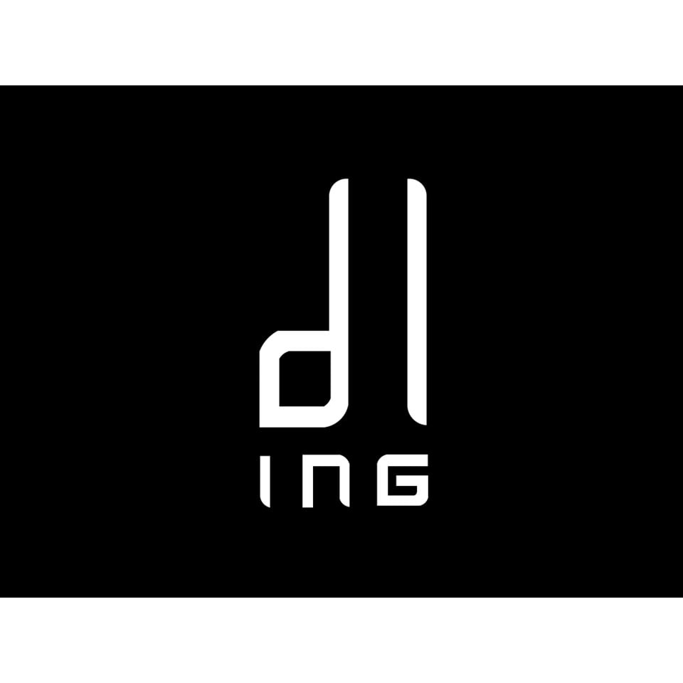 DL e Ingegneria SA Logo