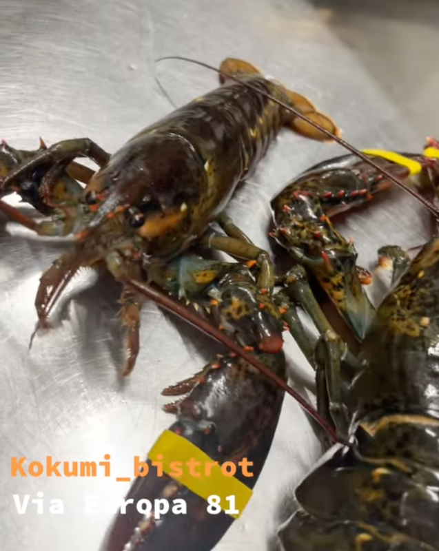 Images Kokumi Bistrot