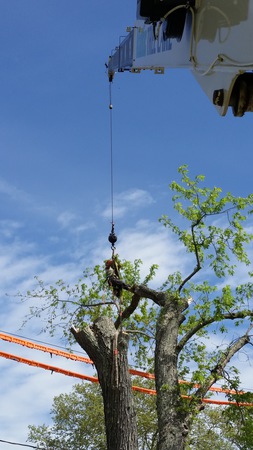 Images Coelho Crane & Rigging