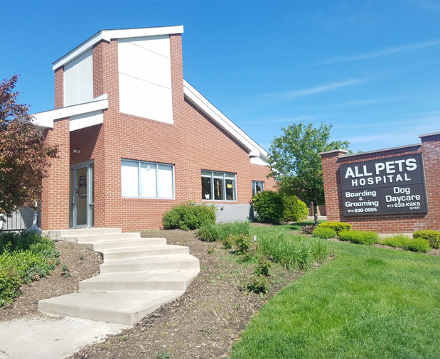 Images VCA All Pets Animal Hospital