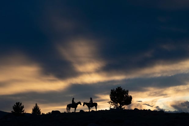 Images CM Ranch