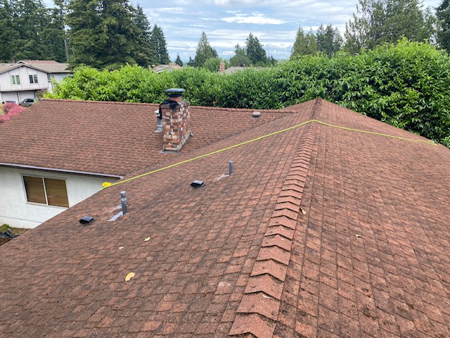 Yeti Gutter & Roof Cleaning