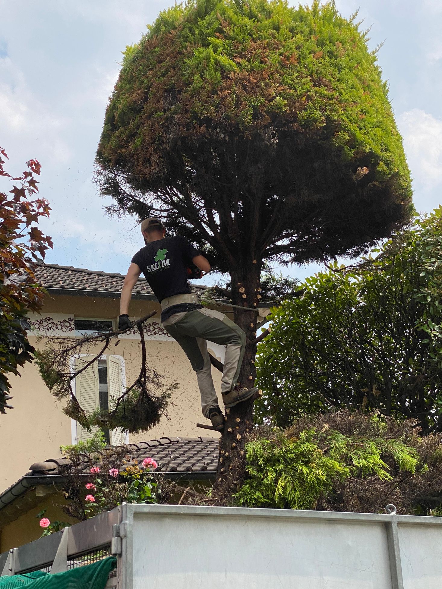 Bilder Selim Giardini Sagl