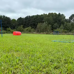 Sniffspot Yolistone Image