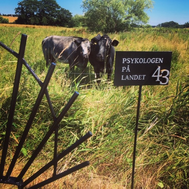 Images Psykologen på Landet