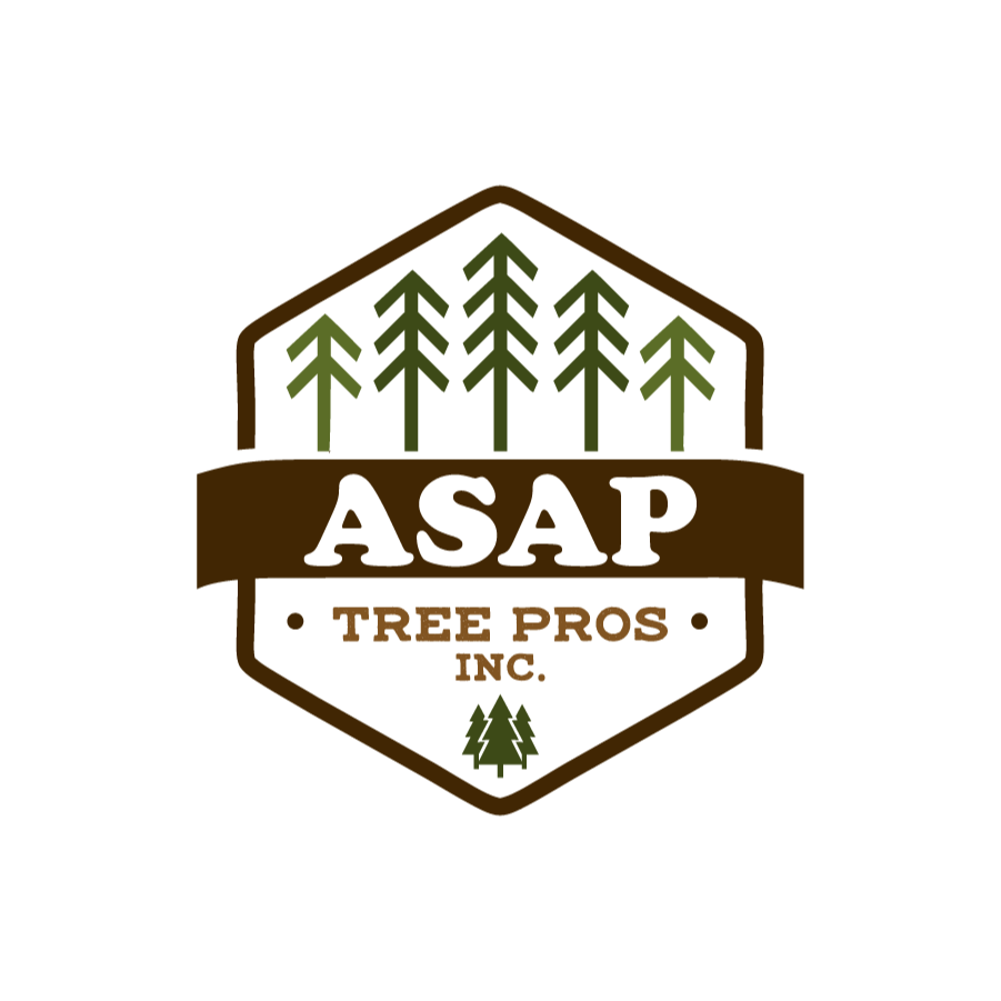 ASAP Tree Pros, Inc. - Rockford, IL 61101 - (815)494-5102 | ShowMeLocal.com