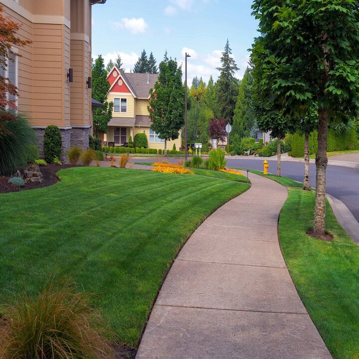 Images Eden Lawn & Tree Service