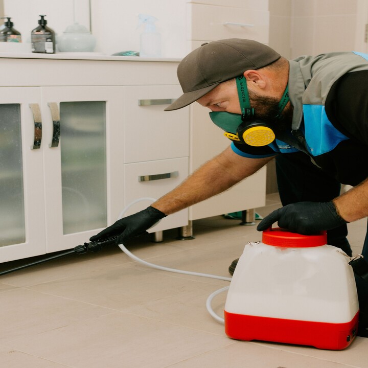 Images TC's Pest & Termite Management