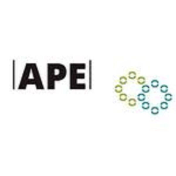 APE Reinigung GmbH & Co KG Logo